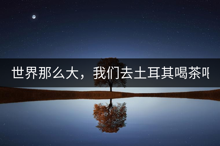 世界那么大，我們去土耳其喝茶吧！