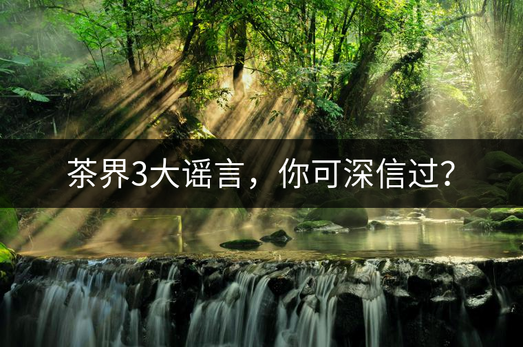 茶界3大謠言，你可深信過？