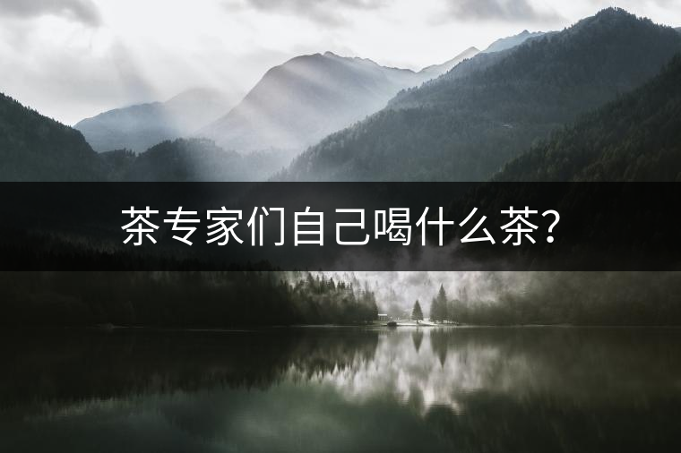 茶專家們自己喝什么茶？