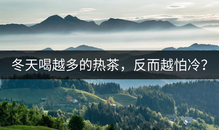 冬天喝越多的熱茶，反而越怕冷？