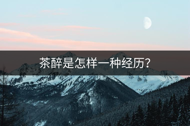 茶醉是怎樣一種經(jīng)歷？