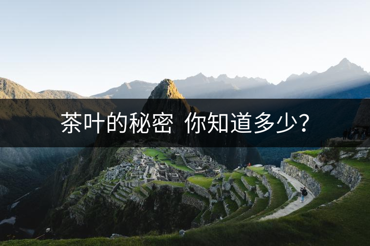 茶葉的秘密  你知道多少？