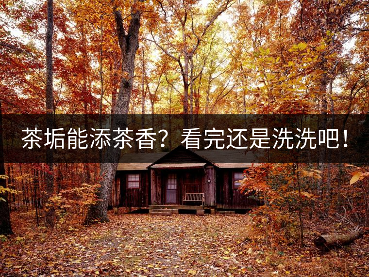 茶垢能添茶香？看完還是洗洗吧！