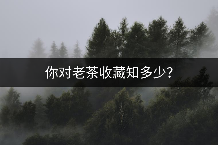 你對老茶收藏知多少？