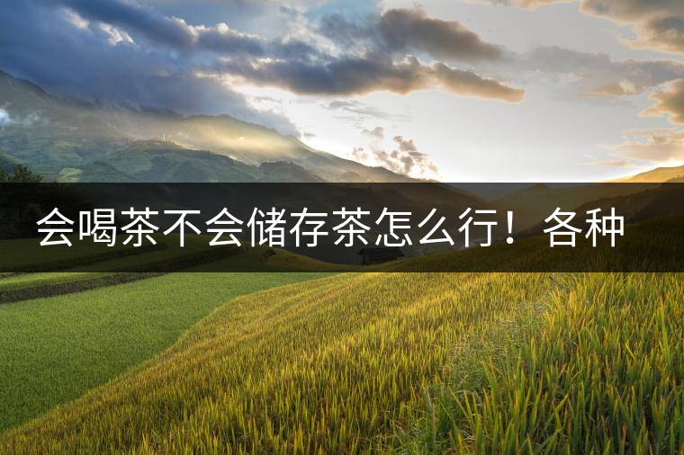 會喝茶不會儲存茶怎么行！各種存茶方法與技巧，把茶香留住