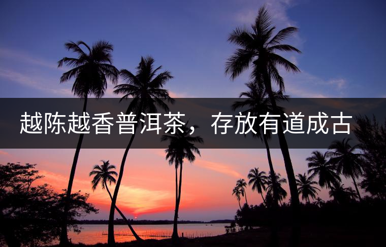 越陳越香普洱茶，存放有道成古董