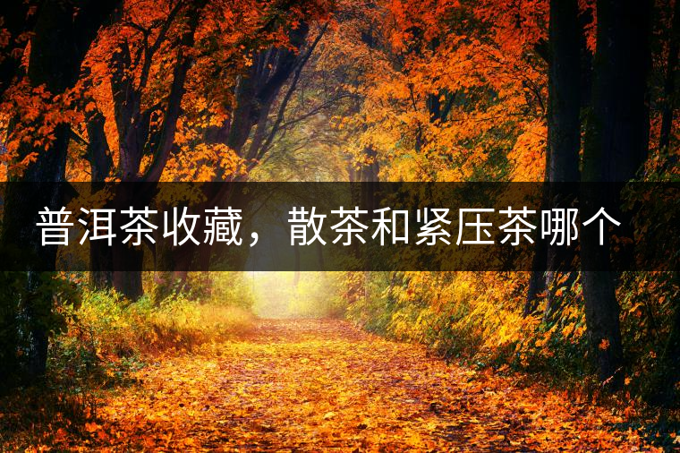 普洱茶收藏，散茶和緊壓茶哪個(gè)更好？