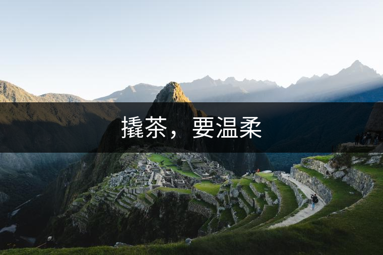 撬茶，要溫柔