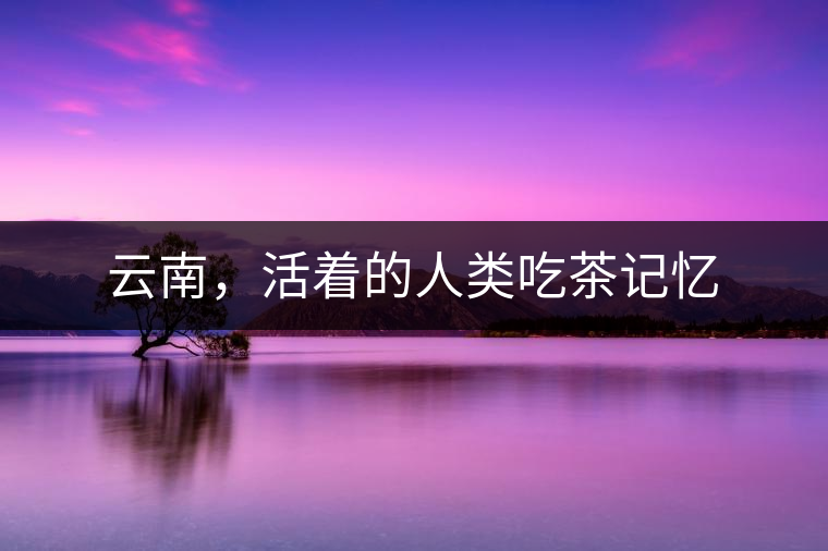 云南，活著的人類(lèi)吃茶記憶