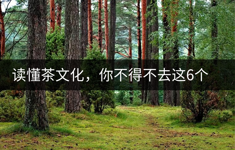 讀懂茶文化，你不得不去這6個(gè)城市