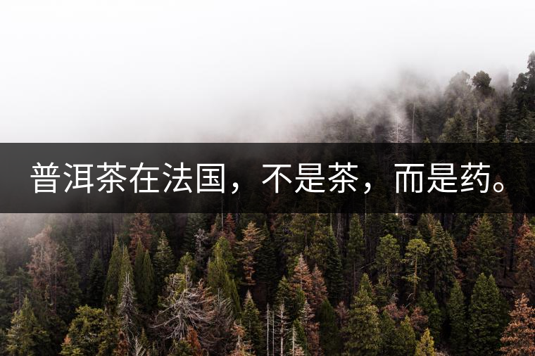 普洱茶在法國(guó)，不是茶，而是藥。