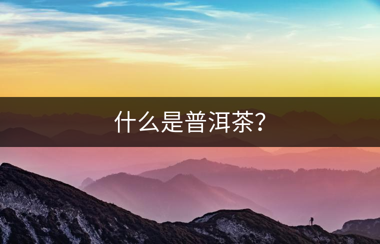什么是普洱茶？