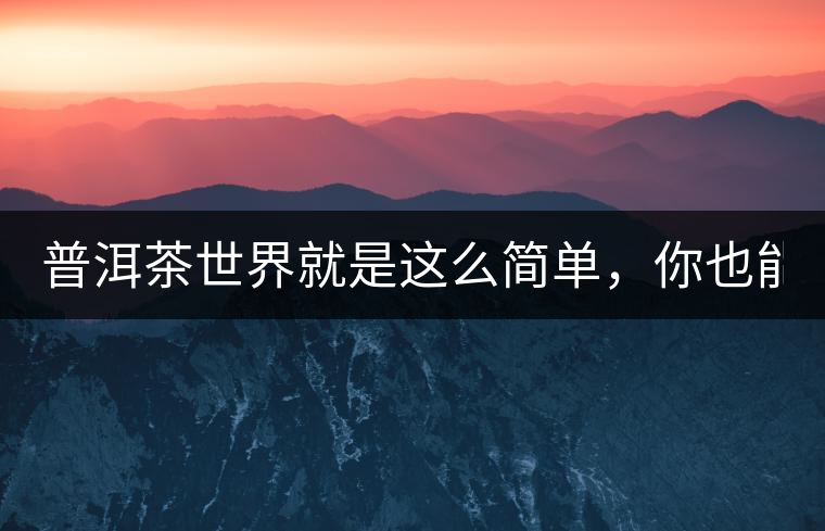 普洱茶世界就是這么簡單，你也能懂！