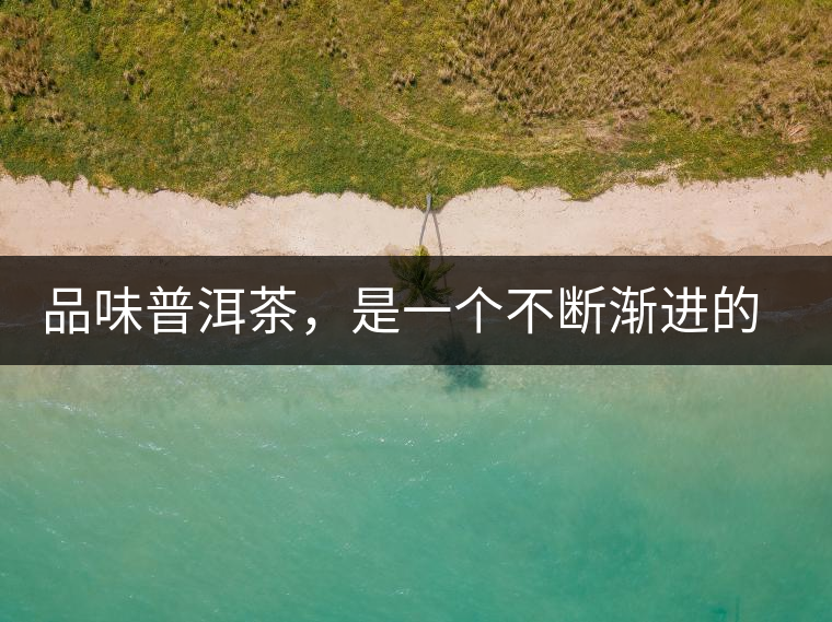 品味普洱茶，是一個不斷漸進(jìn)的過程