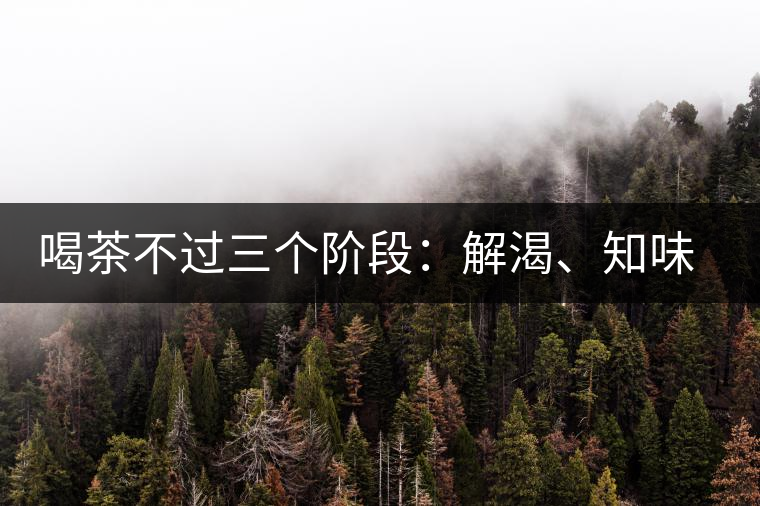 喝茶不過(guò)三個(gè)階段：解渴、知味、怡情