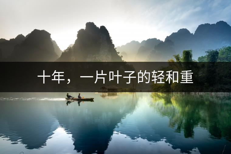 十年，一片葉子的輕和重