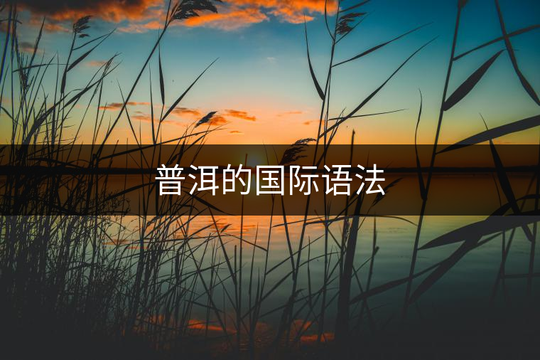 普洱的國(guó)際語(yǔ)法 普洱的國(guó)際語(yǔ)法