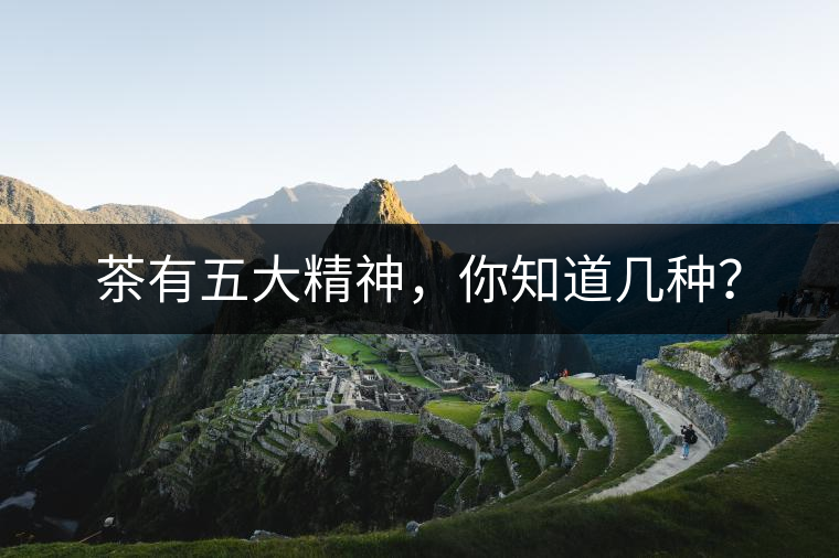 茶有五大精神，你知道幾種？