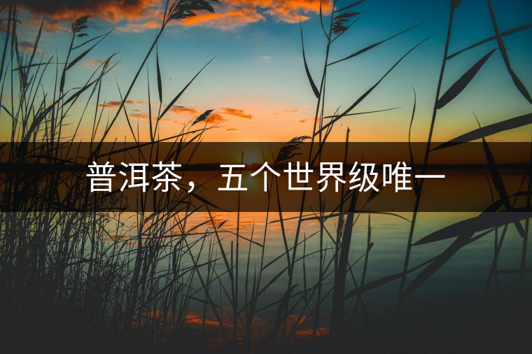 普洱茶，五個世界級唯一
