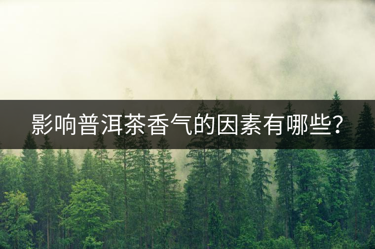 影響普洱茶香氣的因素有哪些？