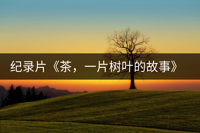 紀(jì)錄片《茶，一片樹葉的故事》 茶文化的詩意追尋