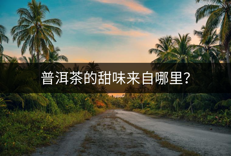 普洱茶的甜味來自哪里？