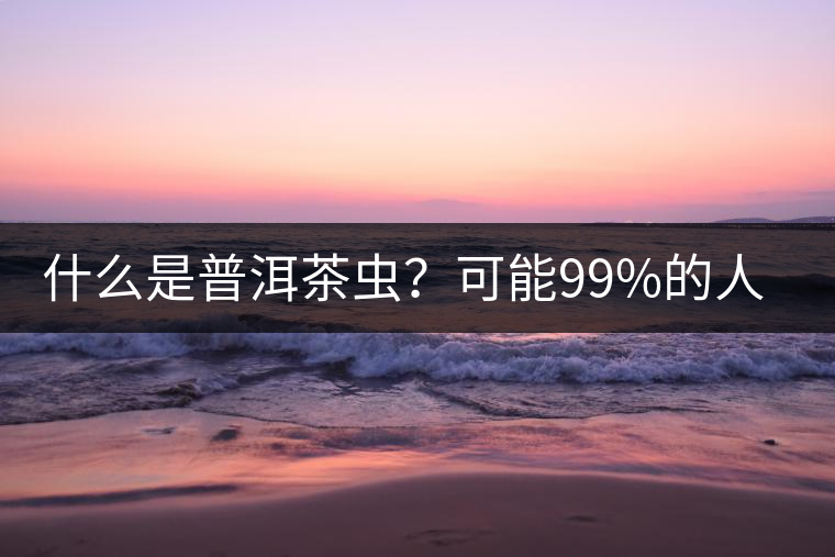 什么是普洱茶蟲？可能99%的人都不知道