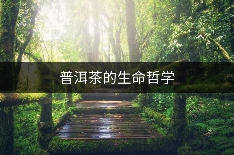 普洱茶的生命哲學(xué) 普洱茶的生命哲學(xué)