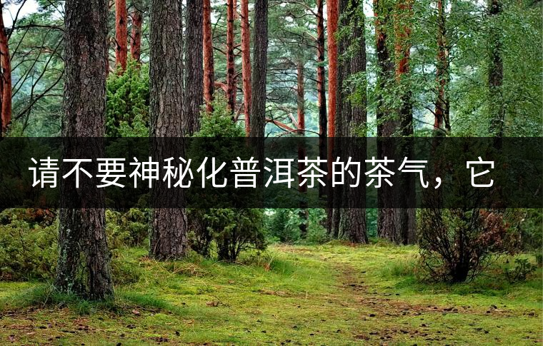 請不要神秘化普洱茶的茶氣，它是科學(xué)的存在