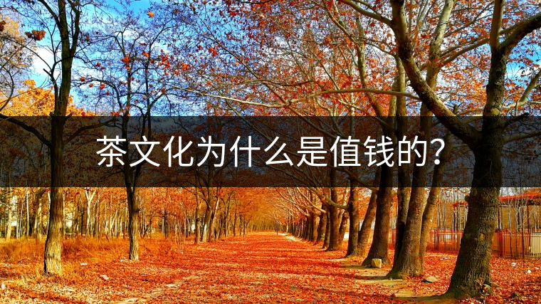 茶文化為什么是值錢的？