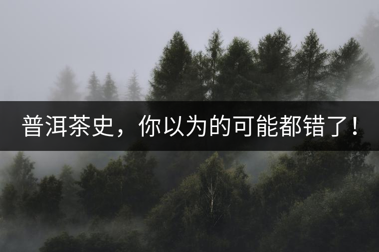 普洱茶史，你以為的可能都錯了！