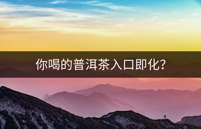 你喝的普洱茶入口即化？