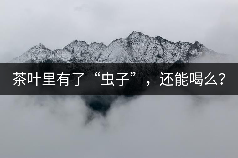 茶葉里有了“蟲子”，還能喝么？