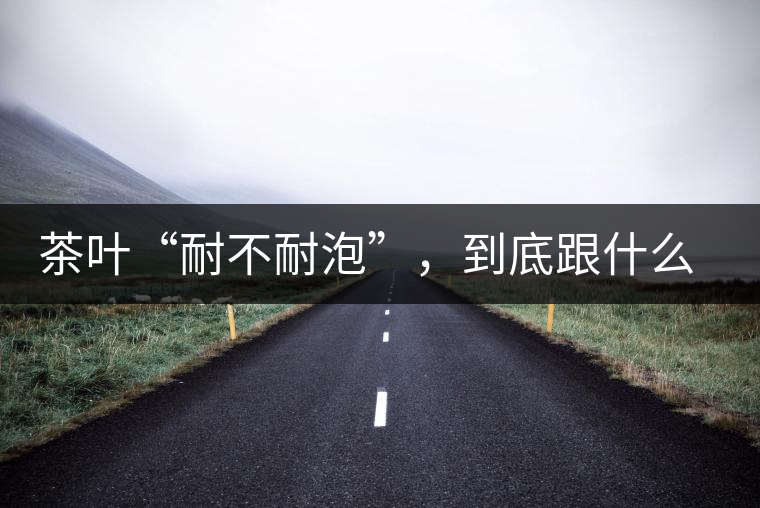 茶葉“耐不耐泡”，到底跟什么有關？