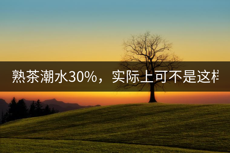 熟茶潮水30%，實(shí)際上可不是這樣！