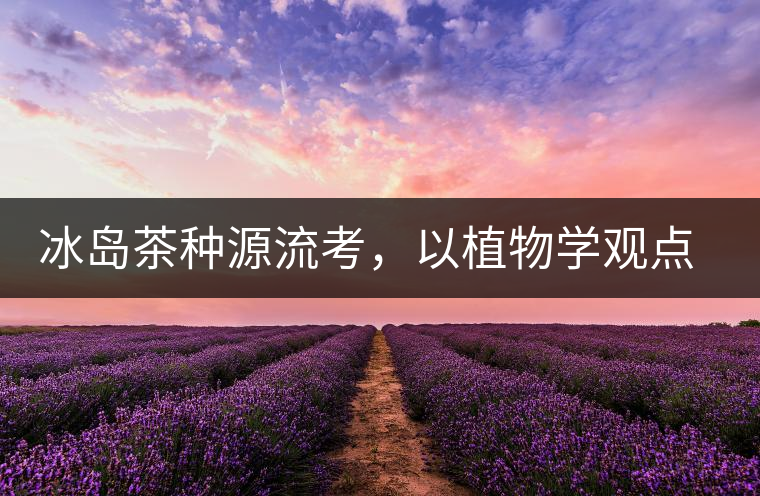 冰島茶種源流考，以植物學(xué)觀點(diǎn)解讀冰島茶