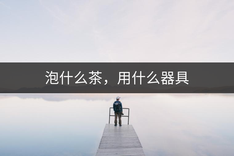 泡什么茶，用什么器具