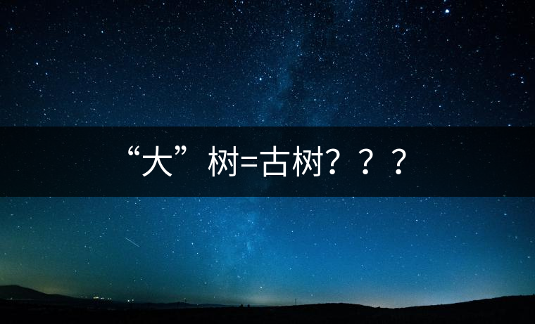 “大”樹(shù)=古樹(shù)？？？