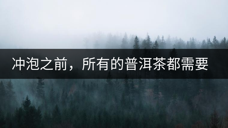 沖泡之前，所有的普洱茶都需要醒茶嗎？