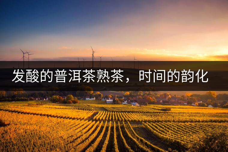 發(fā)酸的普洱茶熟茶，時間的韻化會讓它驚艷無比！