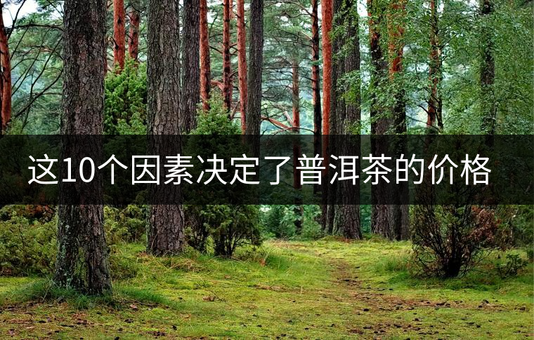 這10個因素決定了普洱茶的價格？