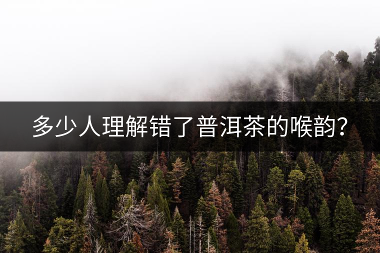 多少人理解錯了普洱茶的喉韻？