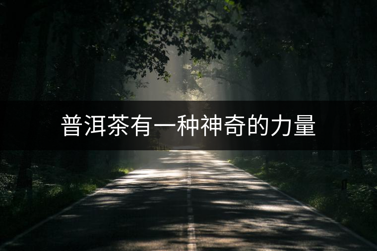 普洱茶有一種神奇的力量 普洱茶有一種神奇的力量