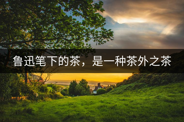 魯迅筆下的茶，是一種茶外之茶