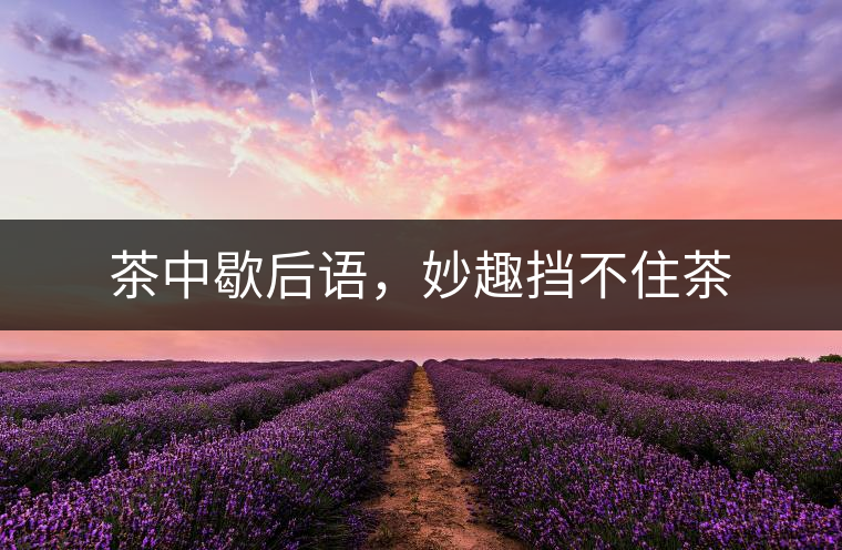 茶中歇后語，妙趣擋不住茶