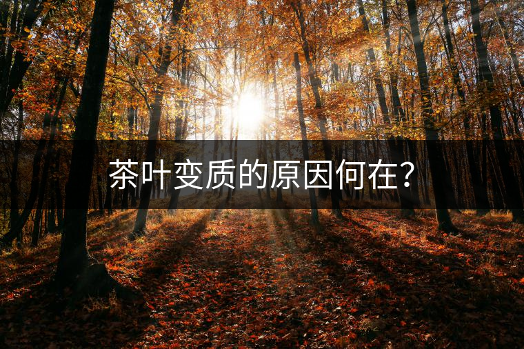茶葉變質(zhì)的原因何在？