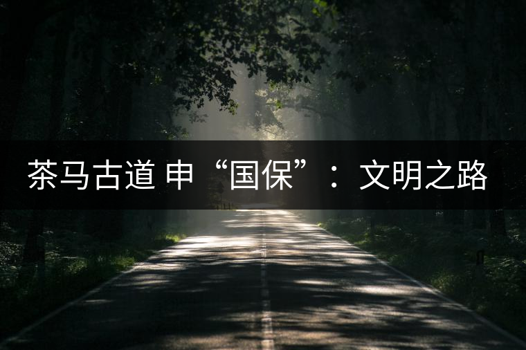 茶馬古道 申“國(guó)?!保何拿髦返脑侔l(fā)現(xiàn) 茶馬古道 申“國(guó)保”:文明之路的再發(fā)現(xiàn)