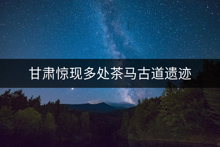 甘肅驚現(xiàn)多處茶馬古道遺跡