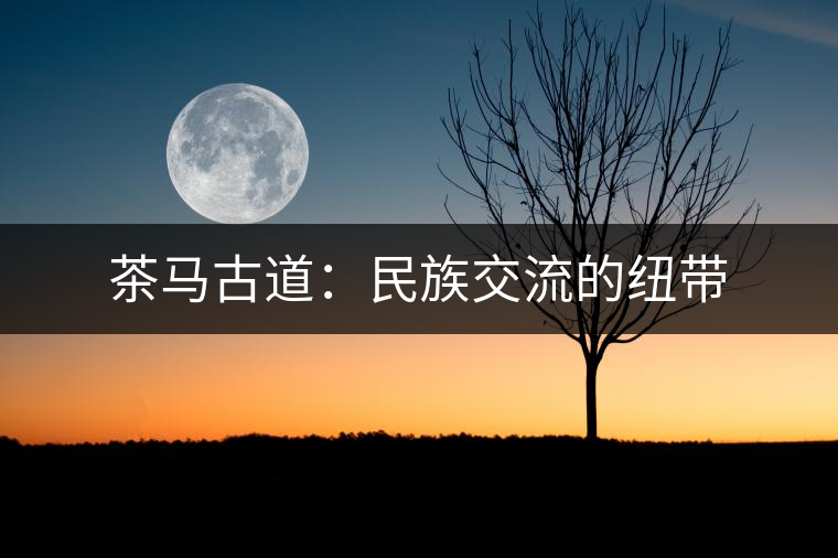 茶馬古道:民族交流的紐帶 茶馬古道:民族交流的紐帶