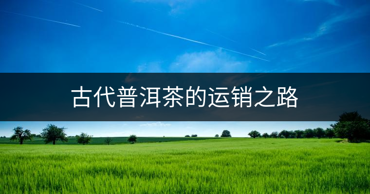 古代普洱茶的運銷之路 古代普洱茶的運銷之路